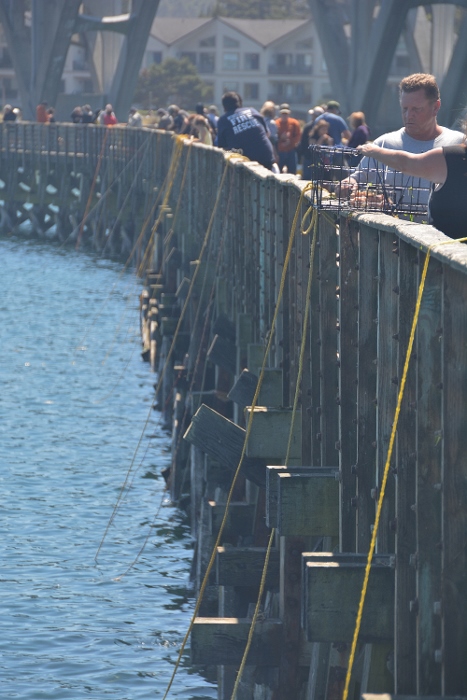 crabbers line the public fishing pier